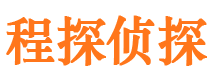 霞山商务调查